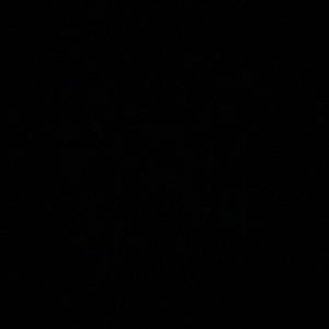 Meet your Posher, Waleska